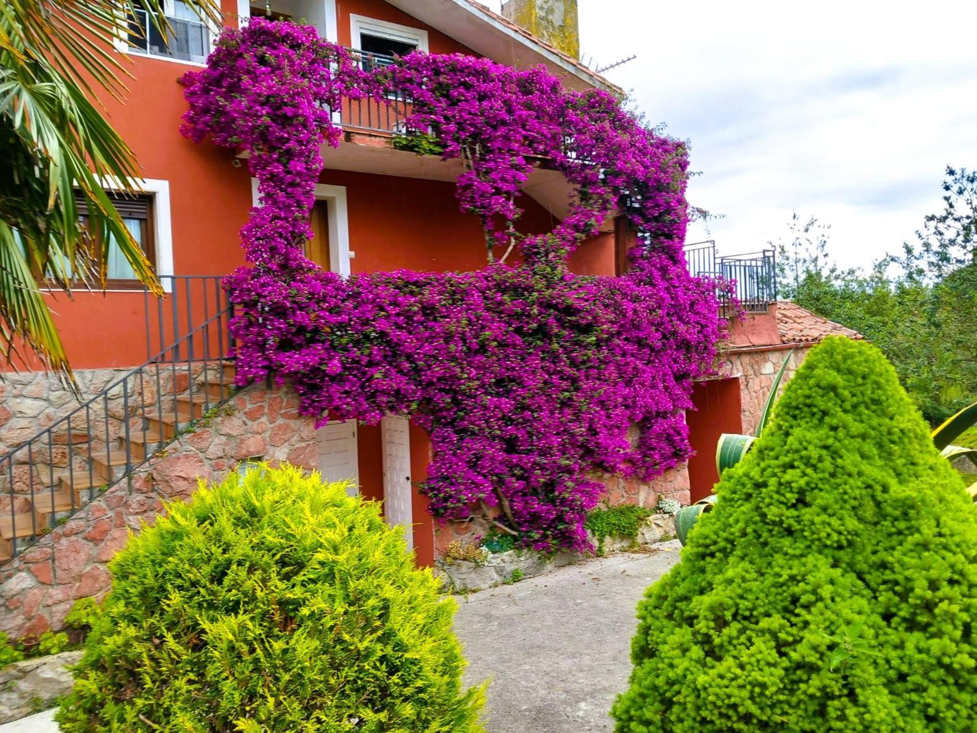 Apartamentos Mariaje Barro  Exterior foto